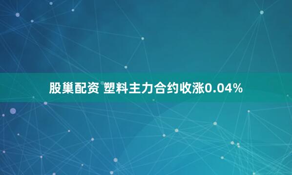 股巢配资 塑料主力合约收涨0.04%
