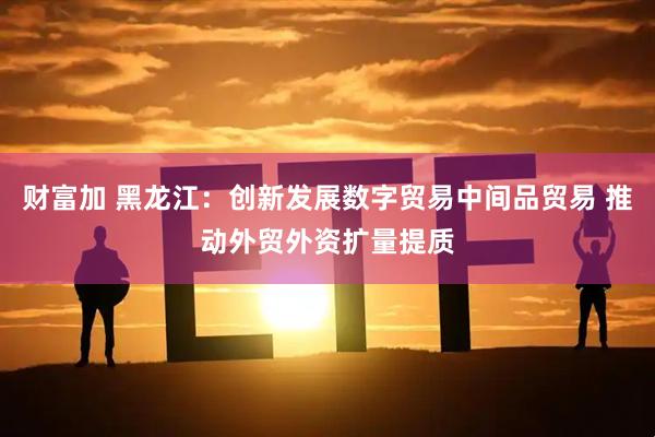 财富加 黑龙江：创新发展数字贸易中间品贸易 推动外贸外资扩量提质